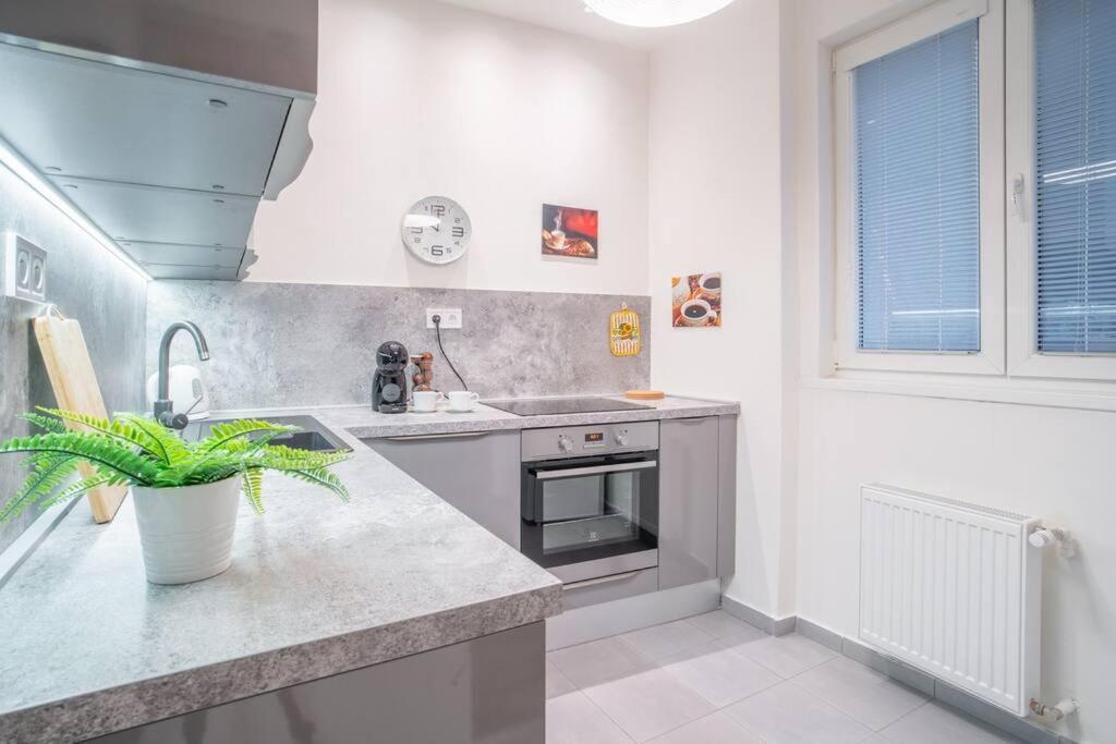 Sukromny Staromestsky Apartman V Uzasnej Lokalite/Cozy Old-Town Apartment In A Great Neighborhood 브라티슬라바 외부 사진